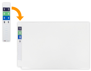 ビスカオリジナルのカラーシート